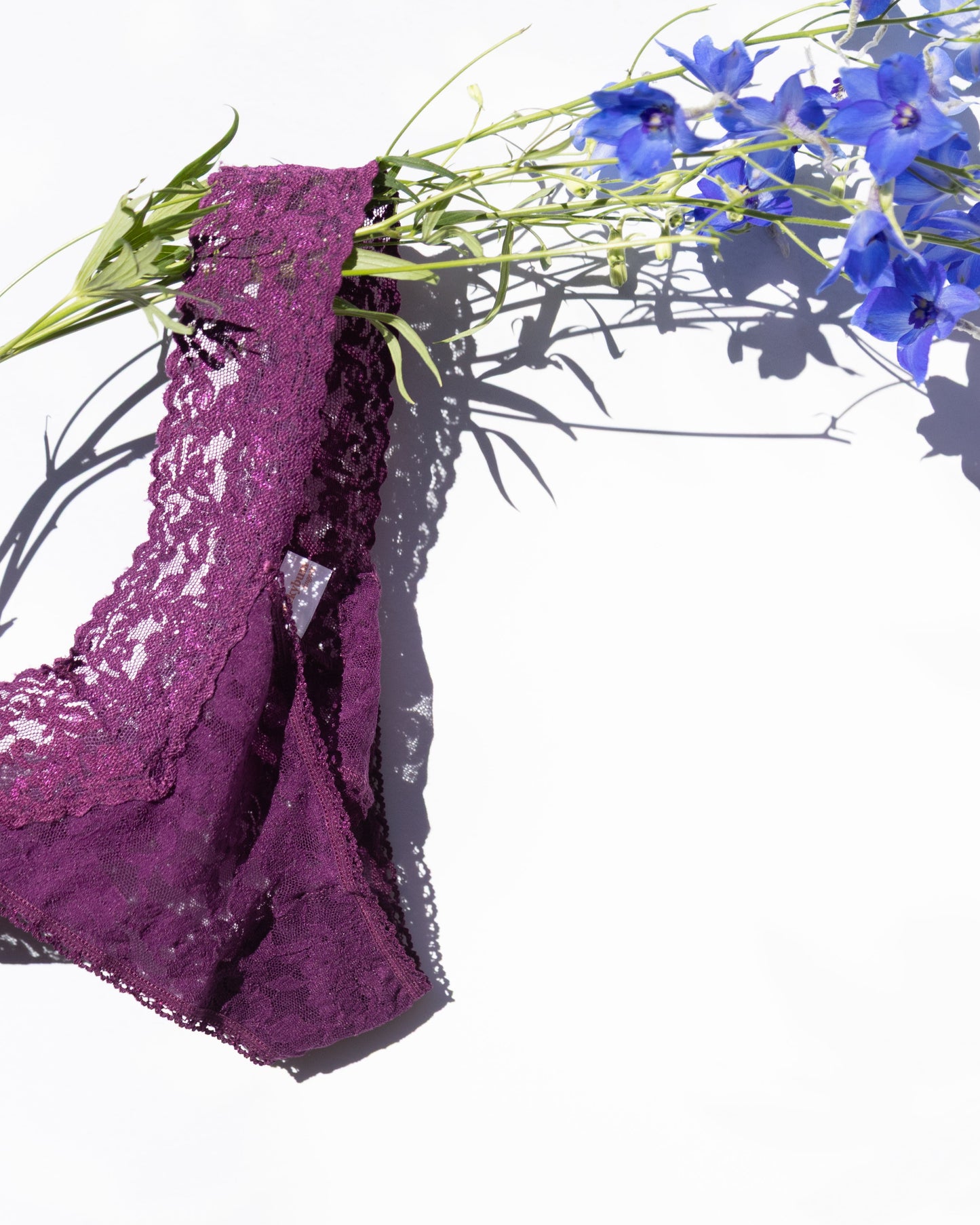 Aubergine