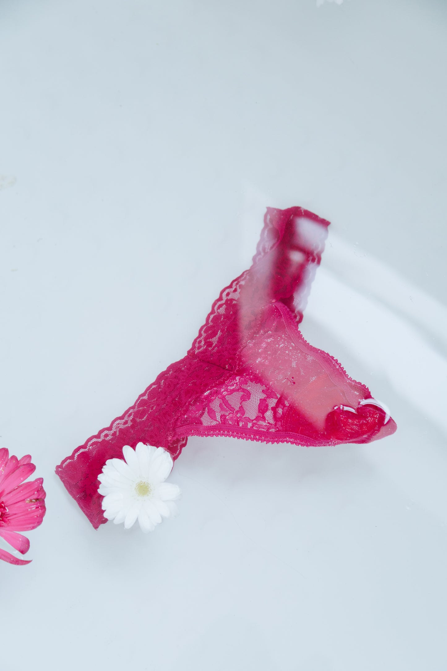 Raspberry Fizz